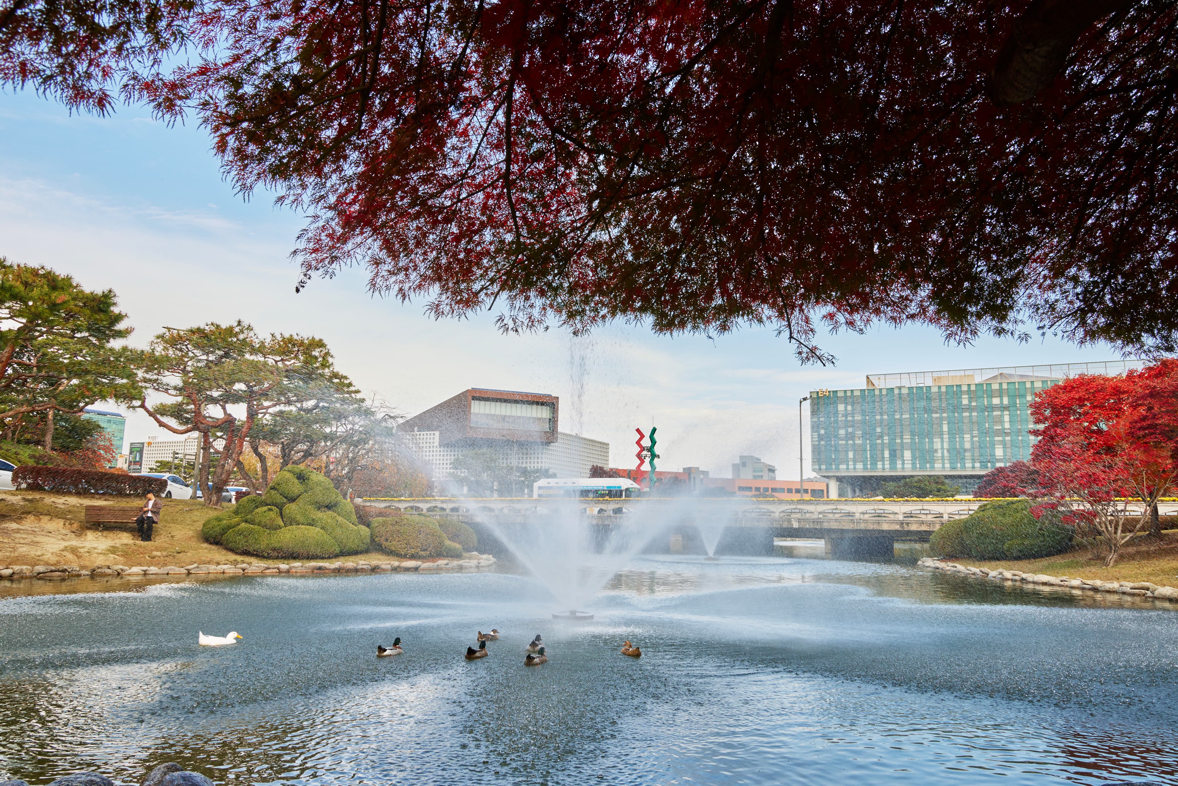 KAIST Scenic View